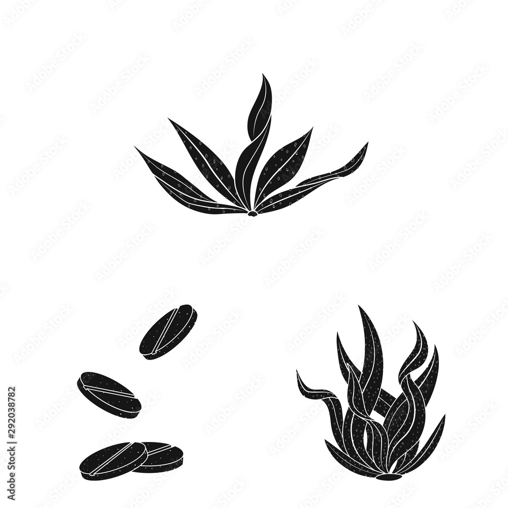 Vector illustration of grass and natural icon. Set of grass and seaweed vector icon for stock. Vector illustration of grass and natural icon. Set of grass and seaweed vector icon for stock.