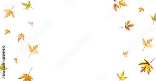 Colorful Autumn leaves concept frame on the white background. Top view. Copy space