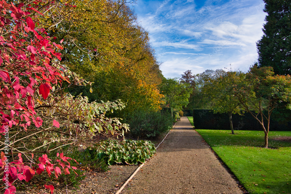 path and colored leaves in the garden