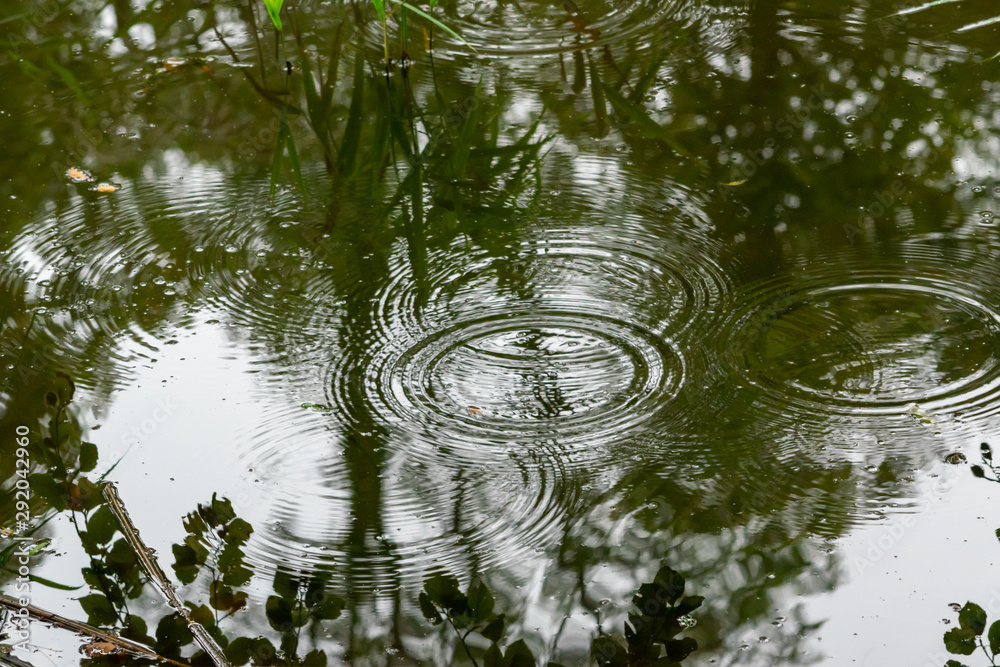 Multiple rain drops falling on a lake Multiple rain drops falling on a lake