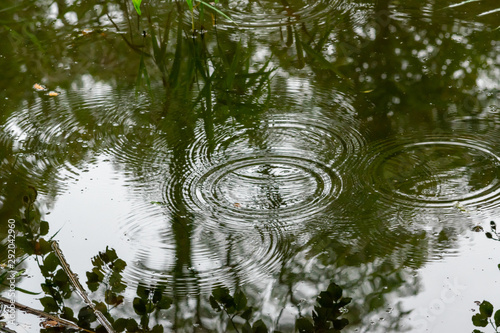 Multiple rain drops falling on a lake  © Nathaniel
