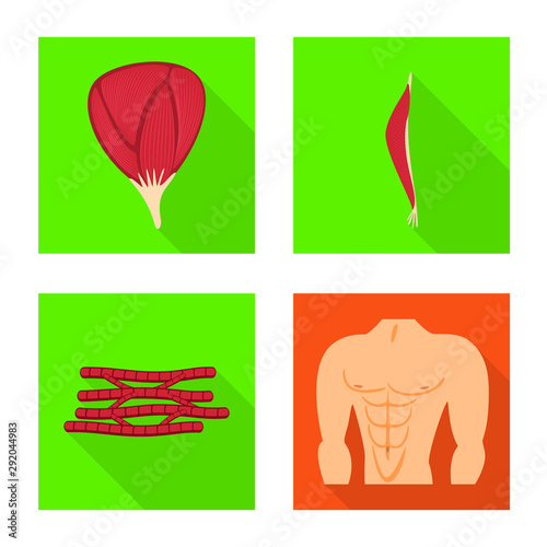 Vector design of muscle and cells logo. Collection of muscle and anatomy stock symbol for web.