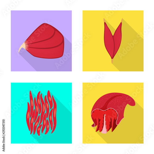Vector design of muscle and cells icon. Collection of muscle and anatomy stock symbol for web.