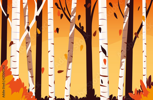 beautiful autumn landscape scene with trees