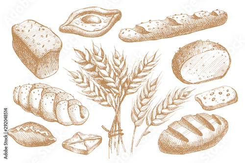 Set of hand drawn bakery products, pastries, loaves, long loaf and ears of wheat. Yummy buns for the bakery shop. Vector illustration on light isolated background.