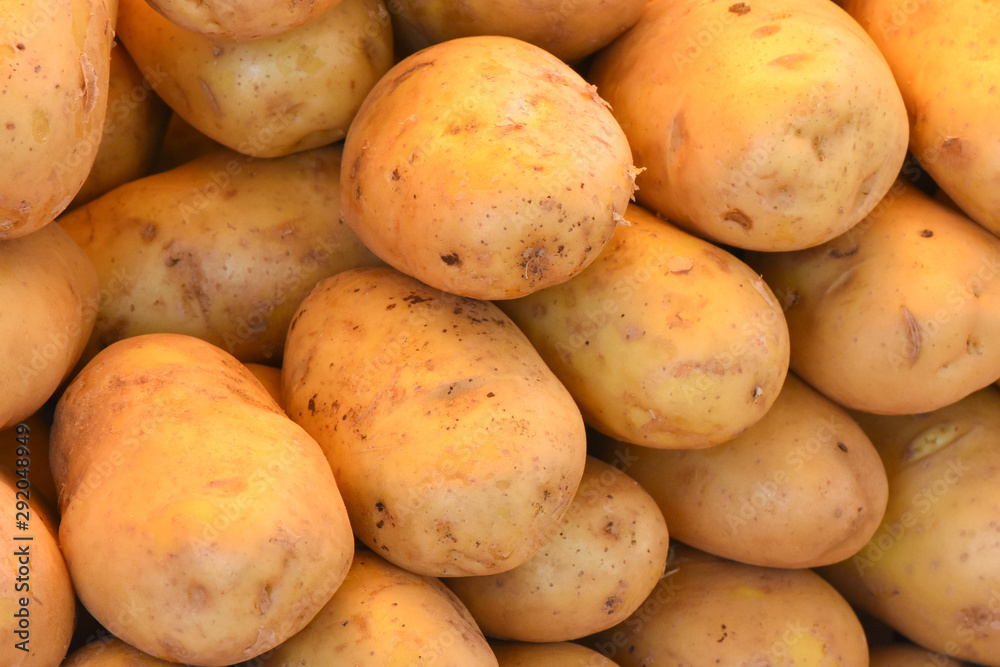 Fresh organic potatoes for sale in the market. Fresh organic potatoes for sale in the market.