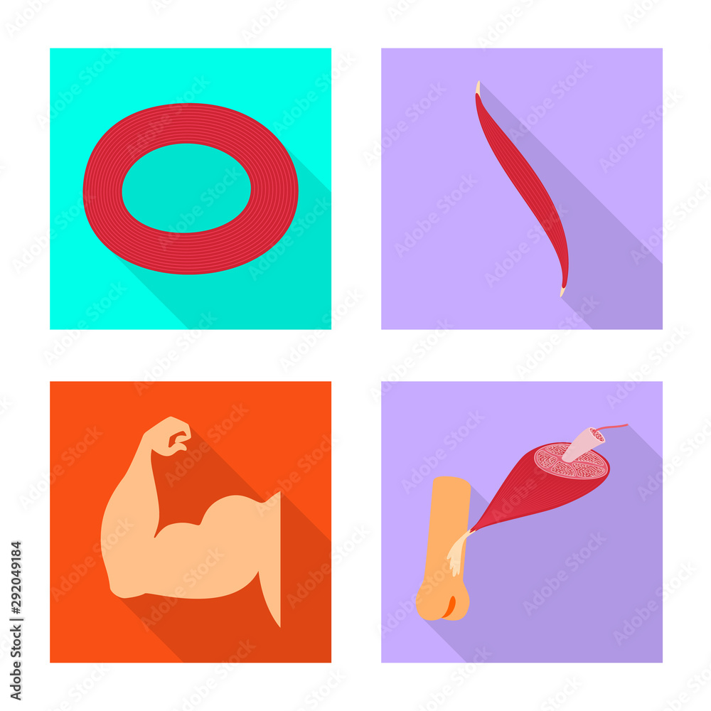 Vector design of muscle and cells sign. Collection of muscle and anatomy stock symbol for web.