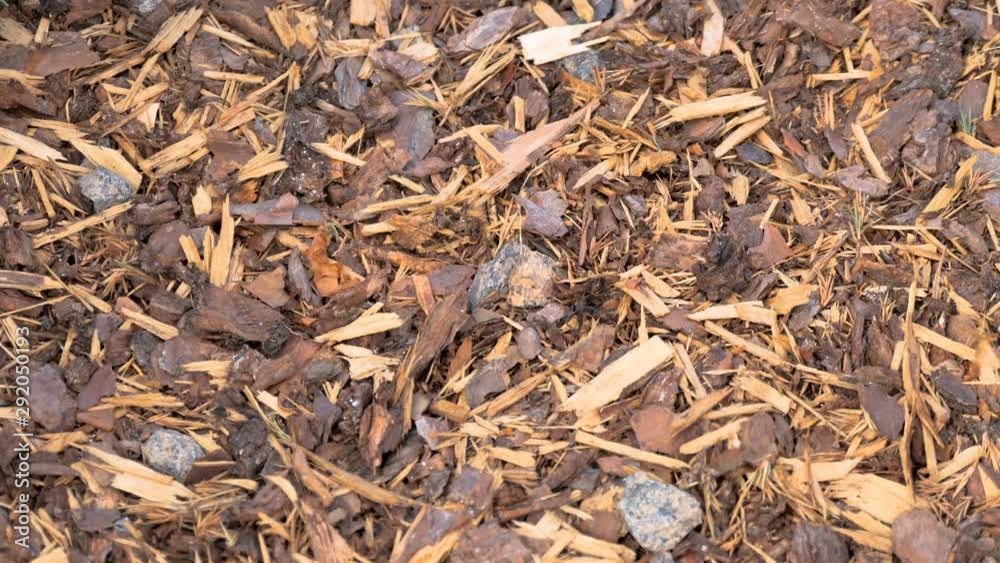 24949_The_strips_of_woods_on_the_ground_outside.mov 24949_The_strips_of_woods_on_the_ground_outside.mov