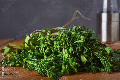 coriander herb dressings