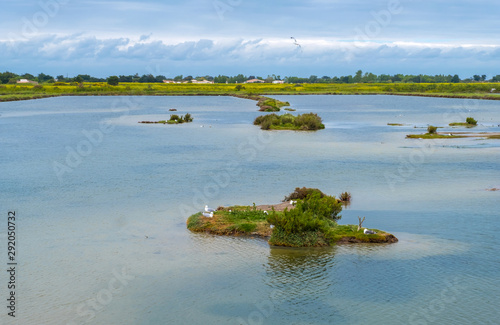 Photography Landscape of Ile de Re island in France
