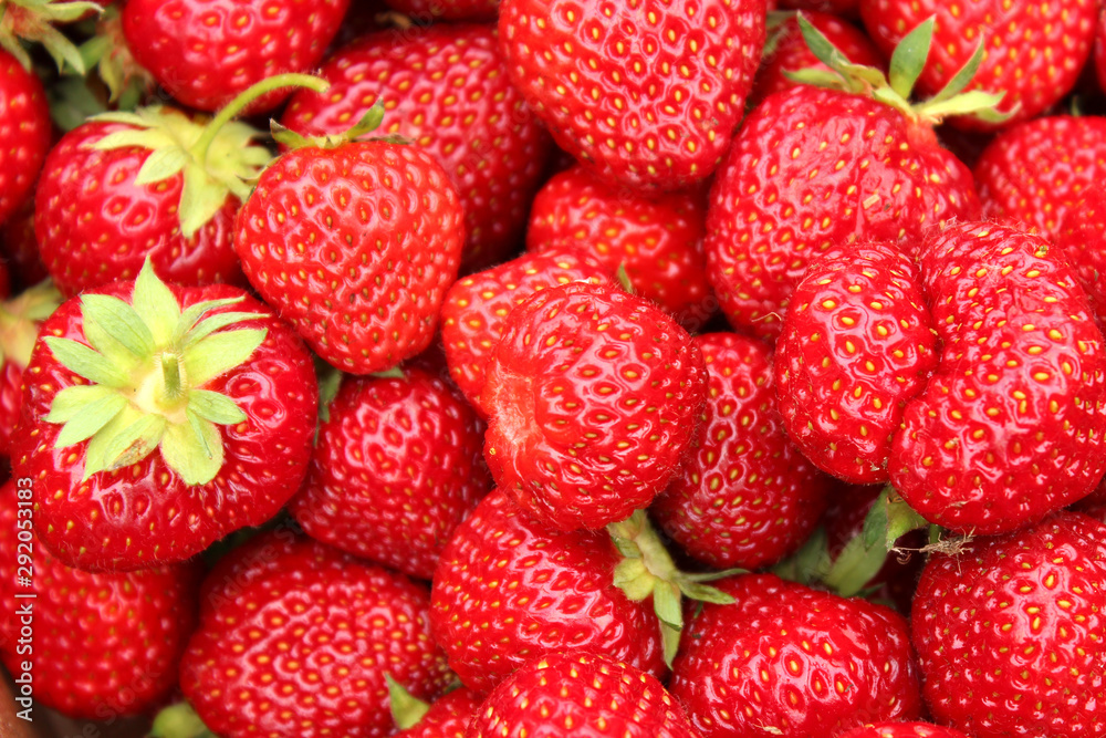Ripe Red Strawberries Ripe Red Strawberries