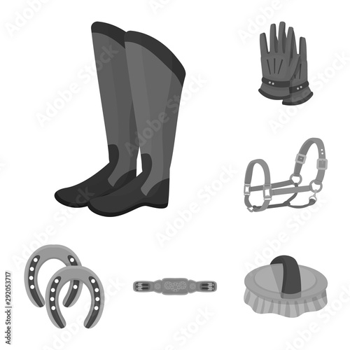 Isolated object of race and horse icon. Set of race and racing stock symbol for web.