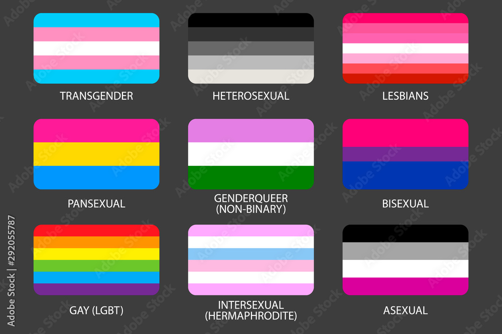 Set Of Lgbt Pride Flags Gays Lesbians Asexuals Transsexuals Hermaphrodites Transgender