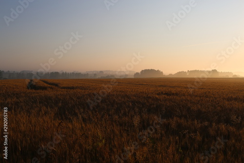 Sunset French Brittany 1