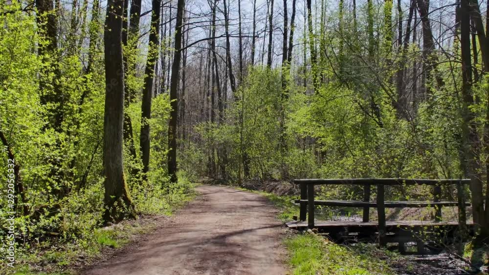 Person riding bike in the forest. Smooth flycam/gimbal shot of sport activity. Person riding bike in the forest. Smooth flycam/gimbal shot of sport activity.