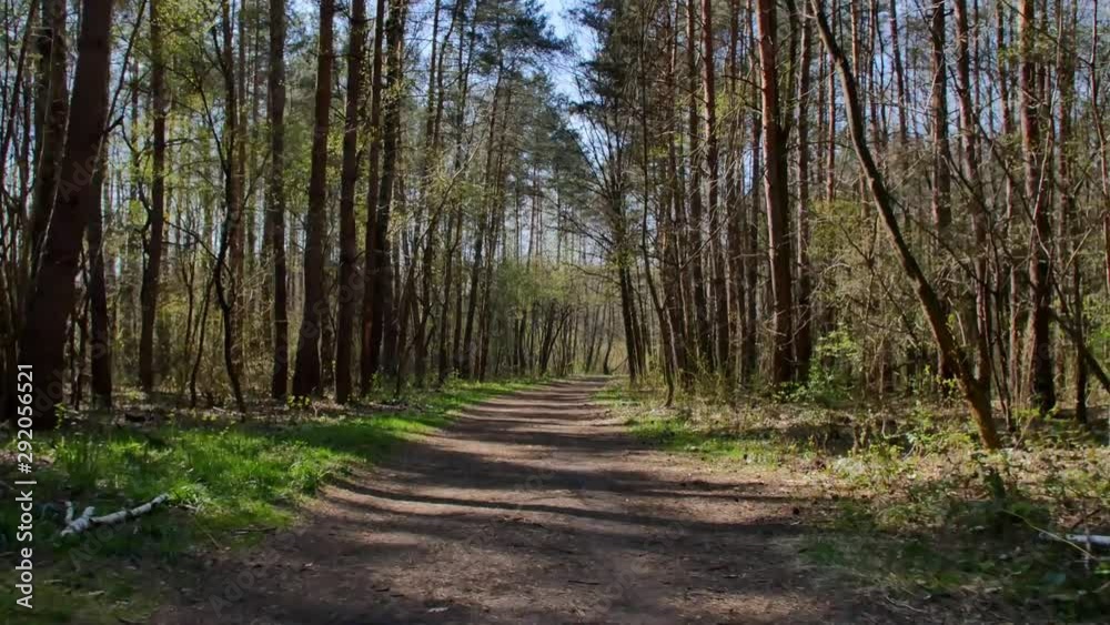 Person riding bike in the forest. Smooth flycam/gimbal shot of sport activity. Person riding bike in the forest. Smooth flycam/gimbal shot of sport activity.