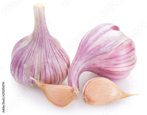 Fresh garlic on white background