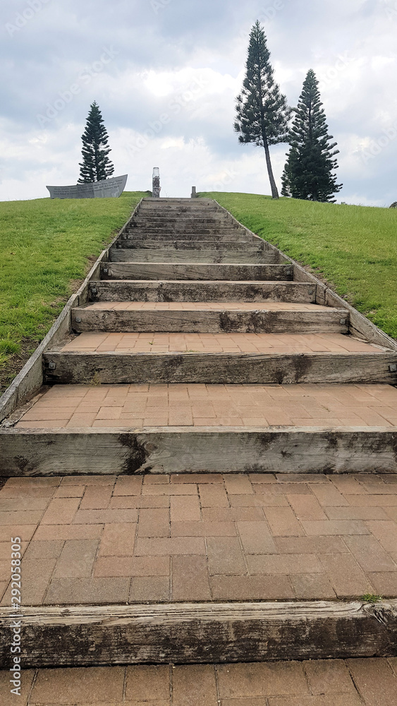 Steps Going Up a Grassy Hill With Pine Trees