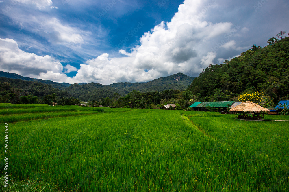 Close-up nature background of green fields, atmosphere surrounded by trees, mountains, clear sky, blurred winds, cool weather during adventurous travel