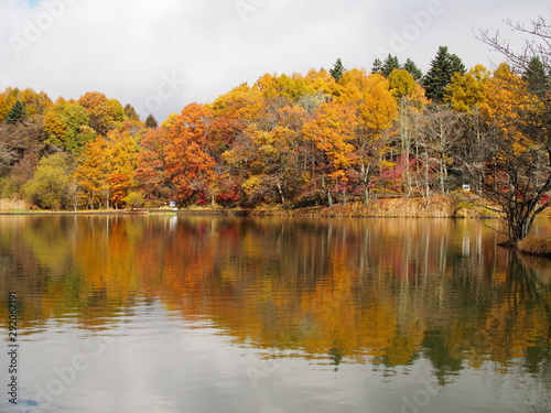 秋の雲場池と紅葉