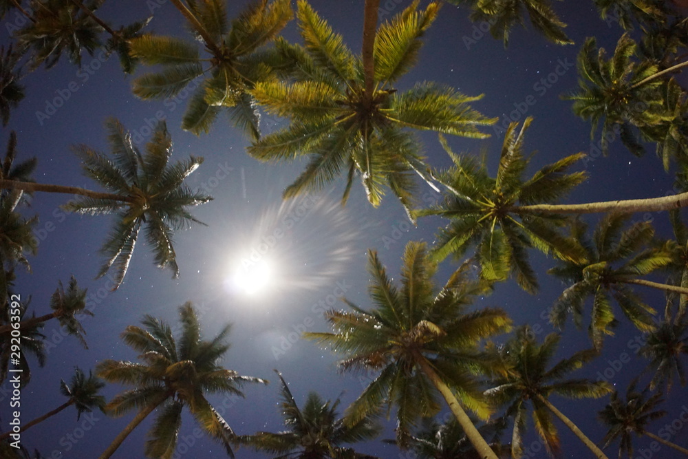Fototapeta premium Palmtrees in the night sky in Sumbawa