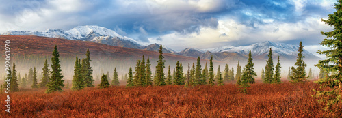  autumn landscape with trees and blue sky