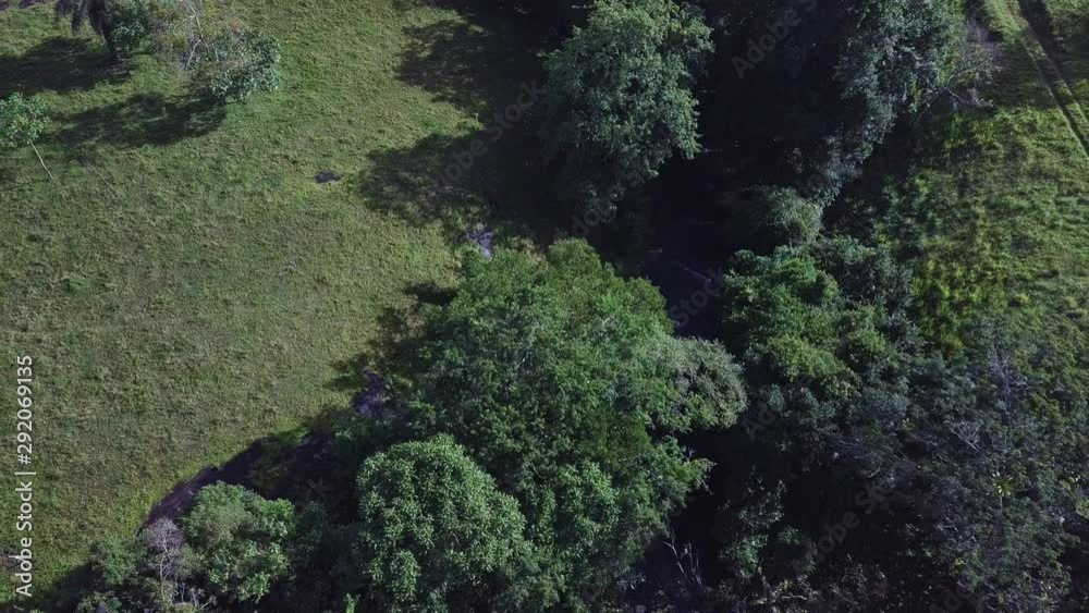 aerial view of river and trees tilt up to reveal and large plain of trees and waterfall aerial view of river and trees tilt up to reveal and large plain of trees and waterfall