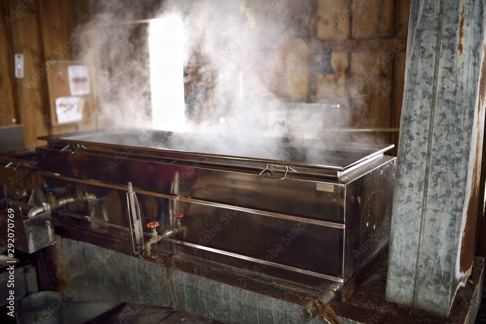 Wood burning evaporator with steaming sap for Maple syrup production in a sugar shack Wood burning evaporator with steaming sap for Maple syrup production in a sugar shack