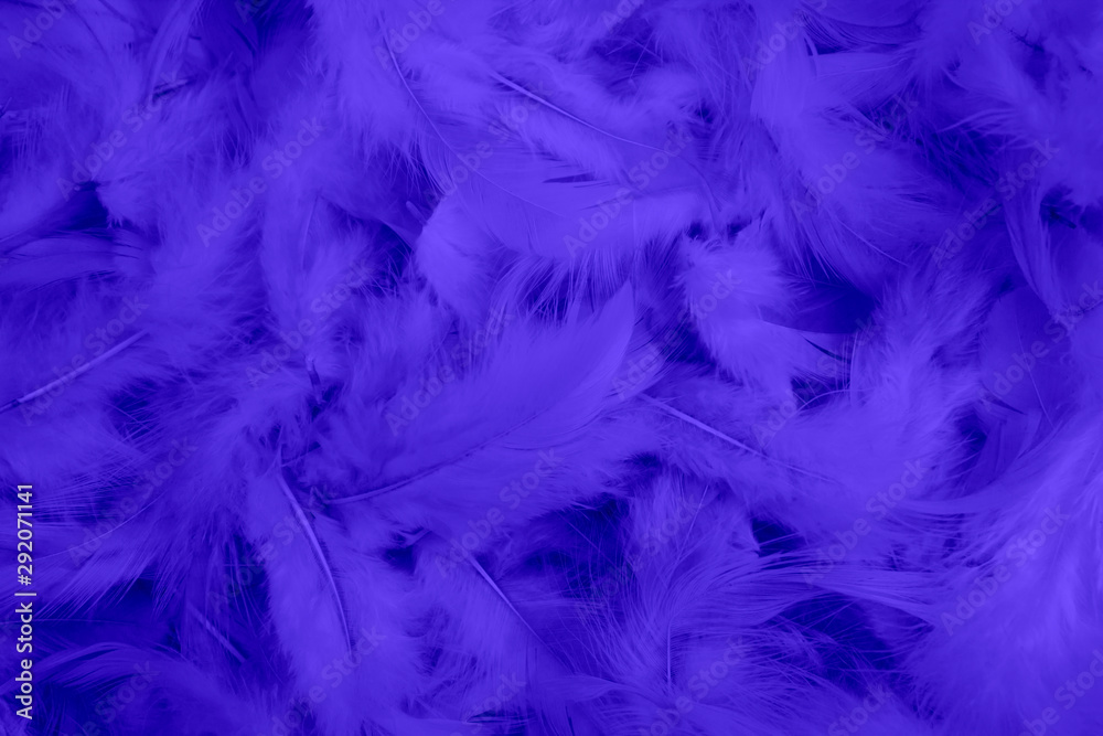 beautiful purple dark feathers background