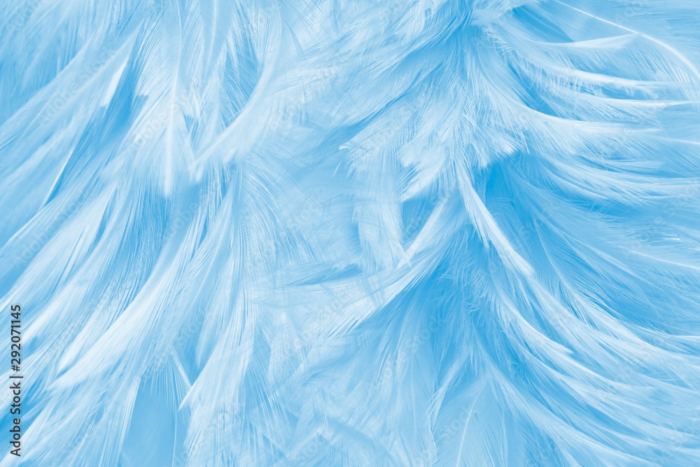 Close Up Of Blue Feathers Texture Background Stock Photo, Picture and  Royalty Free Image. Image 97152071.