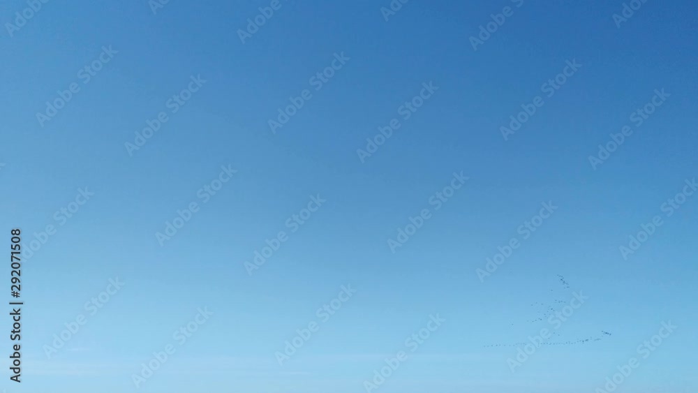 Blue sky with migrating birds in the distance Blue sky with migrating birds in the distance