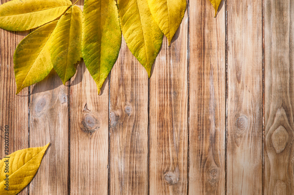 yellow leaves top image on wooden textured background of planks top view yellow leaves top image on wooden textured background of planks top view