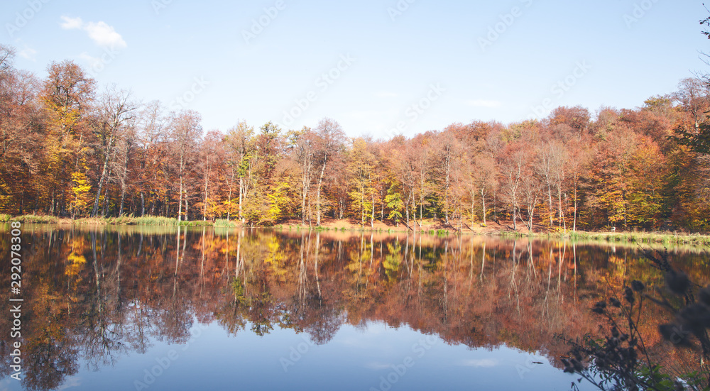 Autumn trees with a lake.