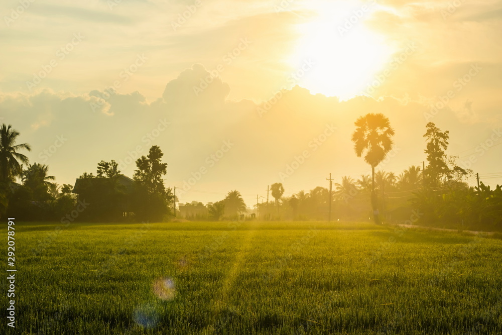 Obraz premium Scenic landscape view of sunrise on natural rice field in the morning at countryside thailand.