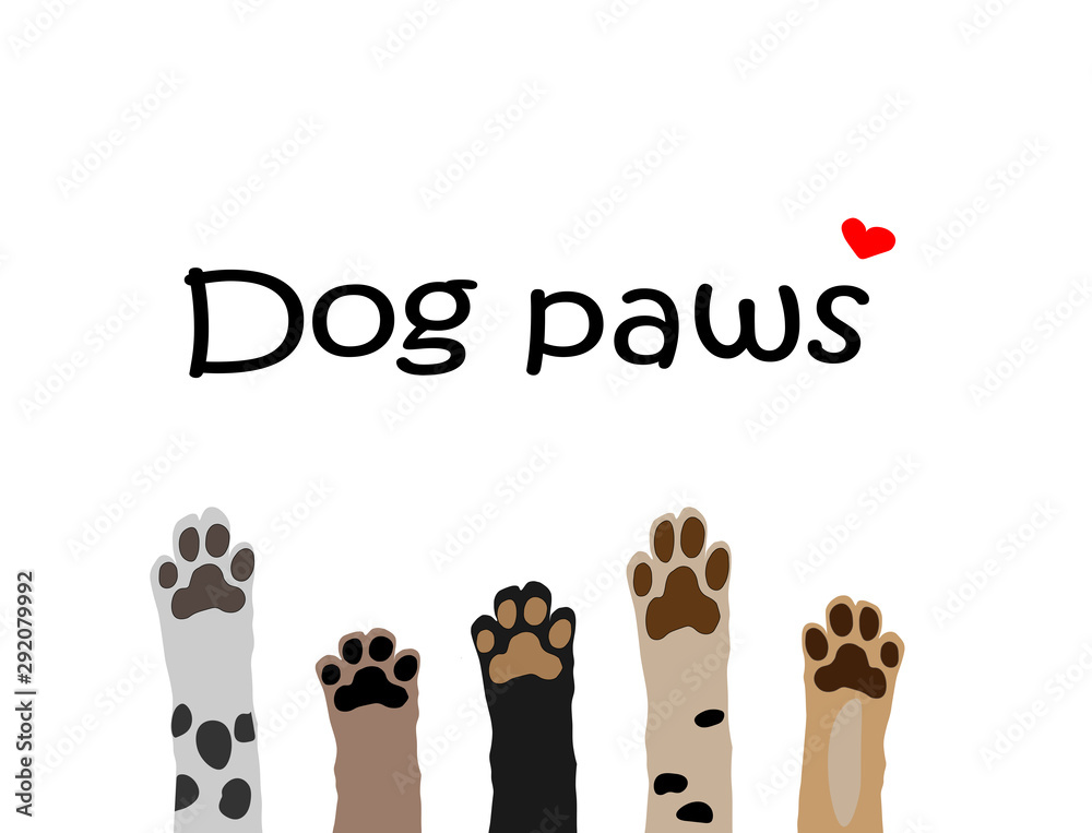 vector illustration of colorful dog paws on white background. Brochure, flyer, postcard. - obrazy, fototapety, plakaty 