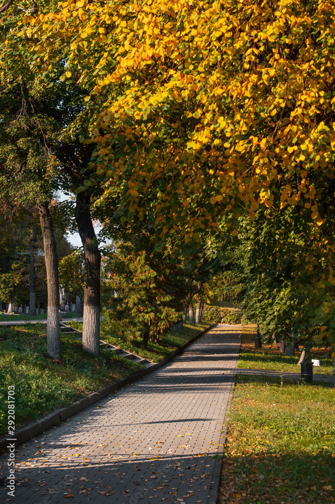 the road passes through the autumn park. Autumn.