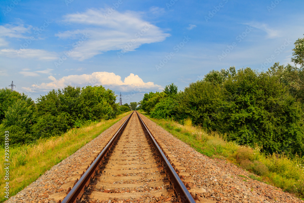 Obraz premium Railroad track through a green pine forest