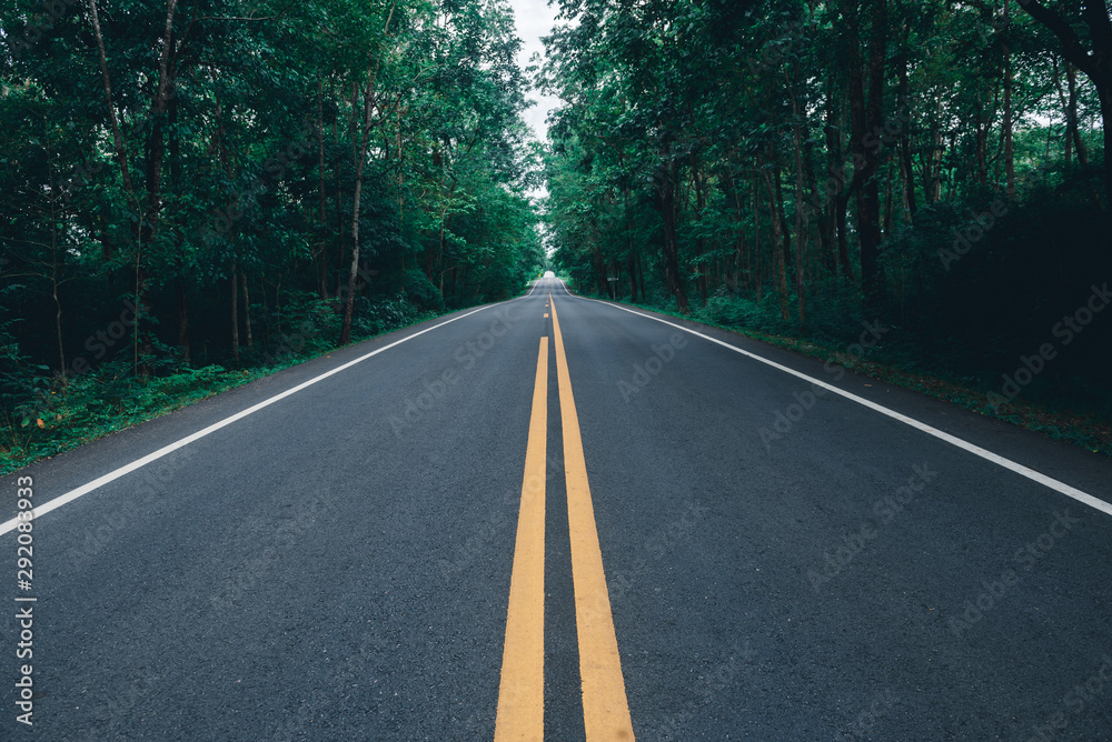 Obraz premium asphalt road with yellow diving line and forest background