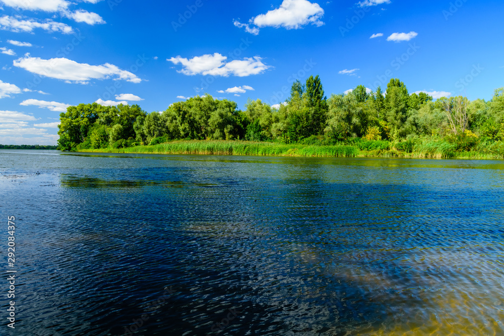 Summer landscape with the green trees and river Summer landscape with the green trees and river