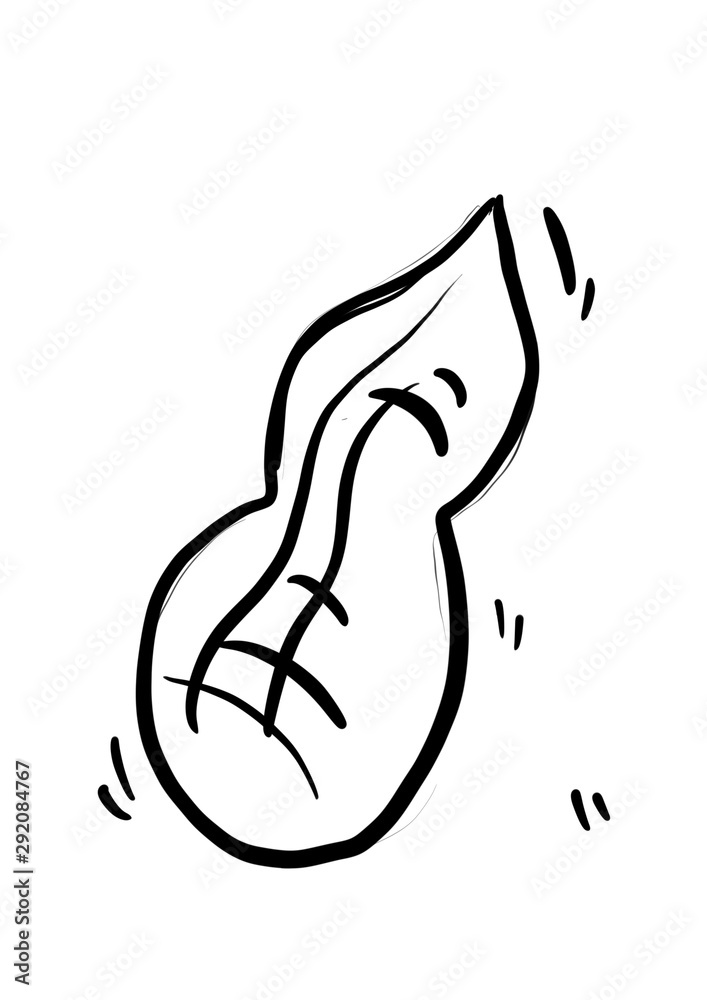 Peanut hand draw icon. Peanut on a white background. Peanut hand draw icon. Peanut on a white background.