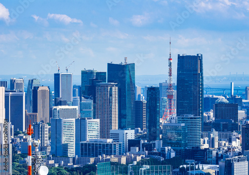 都庁から眺める東京都心部 © oben901