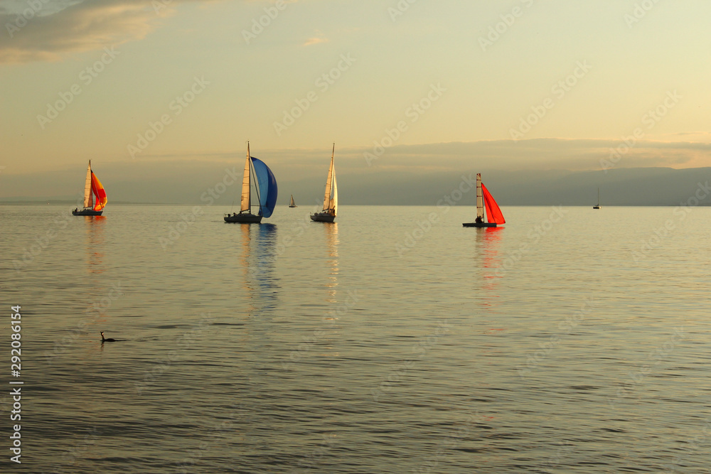Fototapeta premium Beautiful sunset at the Lake Geneva in Lausanne, Switzerland, with colorful sailboats