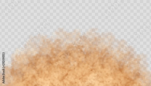 Dust cloud isolated on transparent background. Sand storm, beige powder explosion, desert wind concept. Realistic vector illustration.