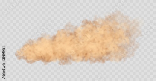 Dust cloud isolated on transparent background. Sand storm, beige powder explosion, desert wind concept. Realistic vector illustration.