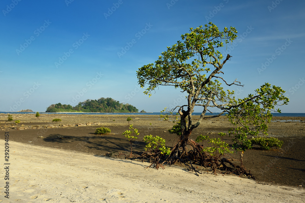 View on the Kalipur Beach of the Andaman and Nicobar Islands, India View on the Kalipur Beach of the Andaman and Nicobar Islands, India