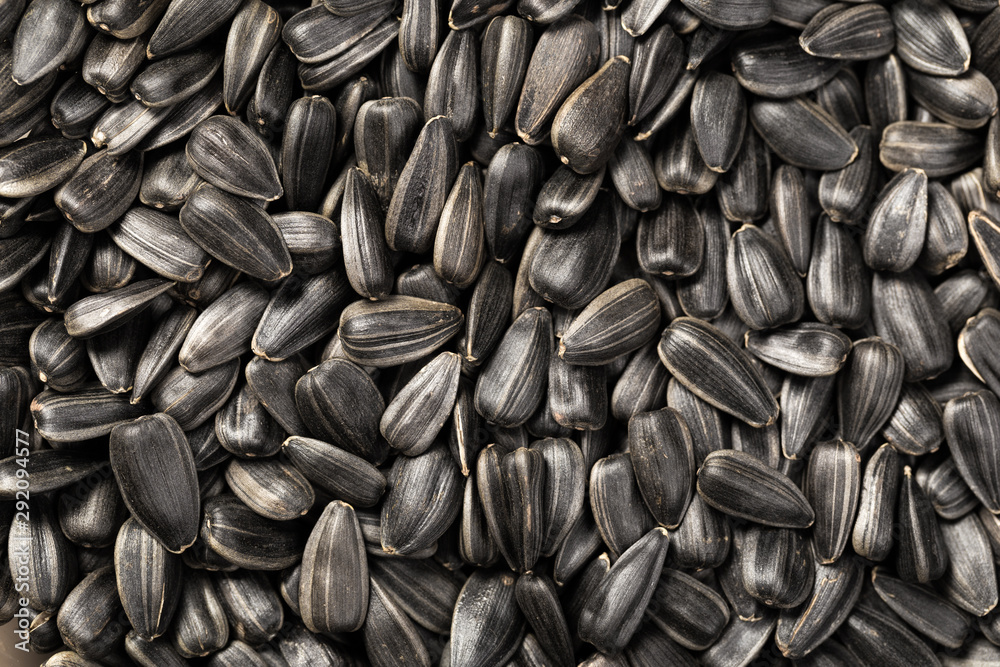 organic sunflower seed for background uses organic sunflower seed for background uses