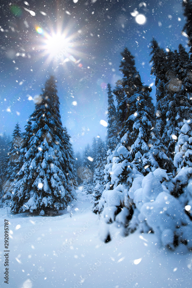 Majestic winter landscape with snowy fir trees. Winter postcard. Majestic winter landscape with snowy fir trees. Winter postcard.
