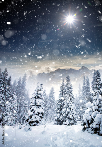 Majestic winter landscape with snowy fir trees. Winter postcard.