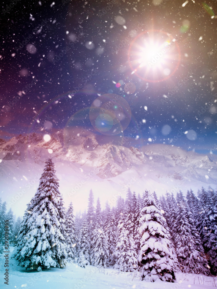 Majestic winter landscape with snowy fir trees.  Winter postcard.