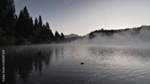 A Quiet Shot of Hume Lake photo